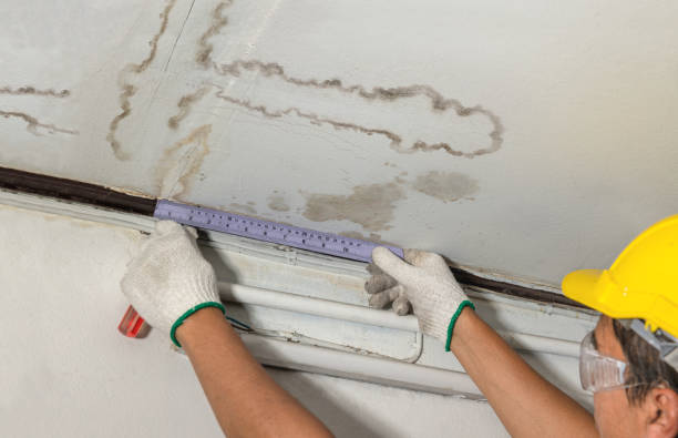 Reliable Mold Remediation contractor in Baltic, CT by Water Damage Irwin